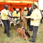 President Museveni receives gifts from a group of elders in Koboko North County where he addressed a campaign rally yesterday Nov 18. PPU Photo