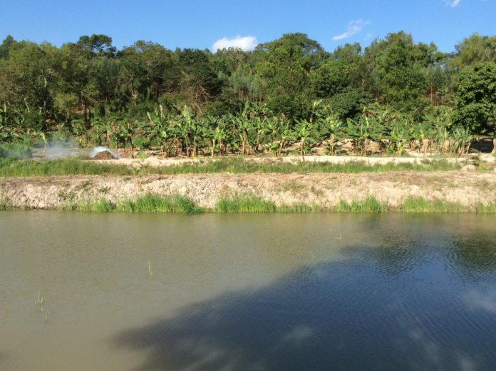 Agro-tourism farm in Uganda