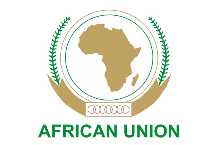 african union tour