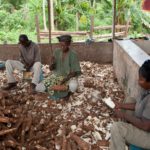Awino Lovingo peeling cassava