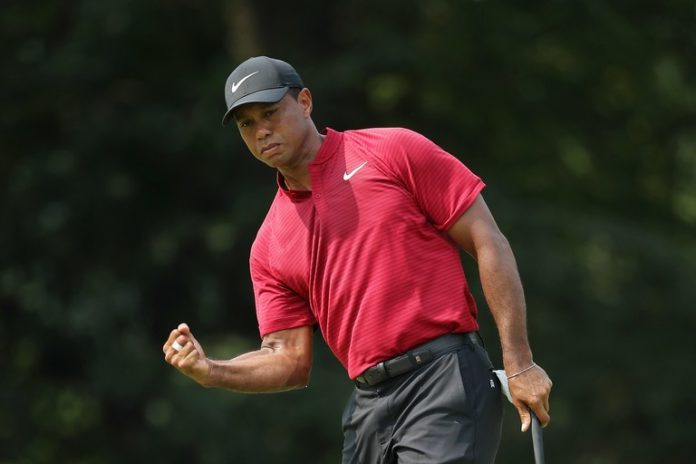 tiger woods