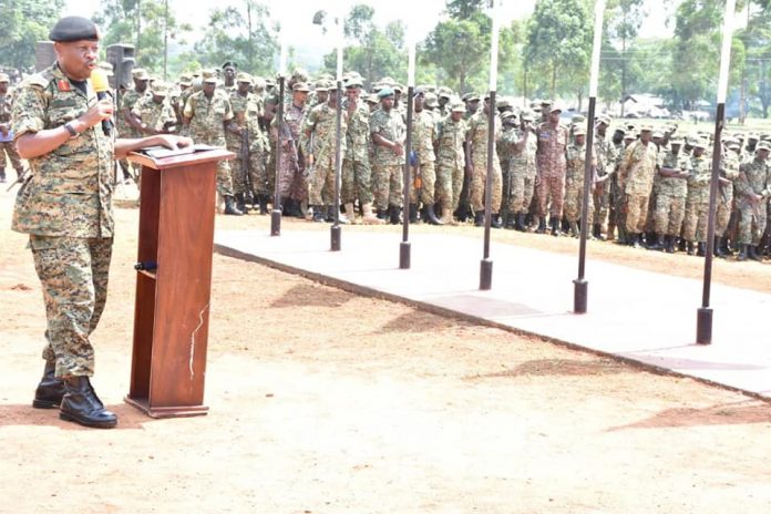 UPDF (1)