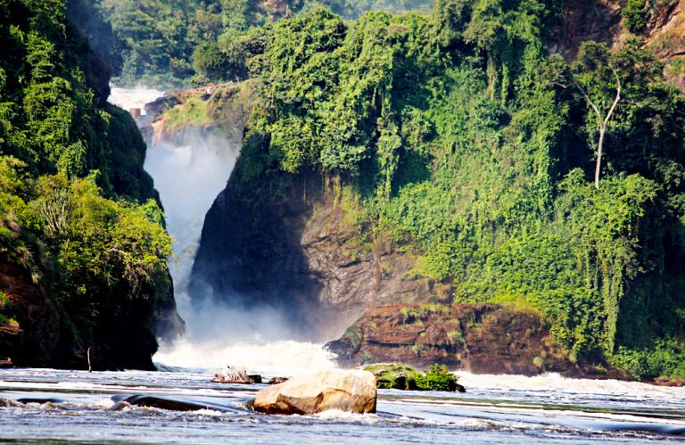 Declare that no dam will be built at Murchison Falls-activists plead with Museveni