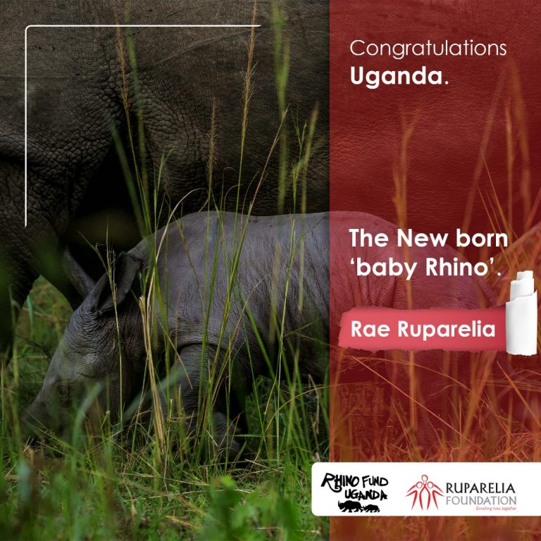 Uganda’s newest baby rhinoceros named Rae Ruparelia