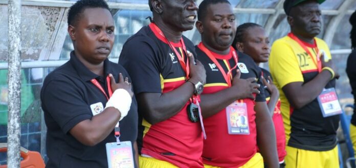 Crested-cranes-technical-bench