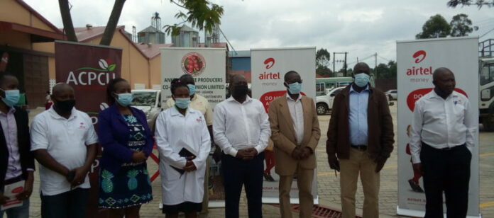 IMG_20211021_120000-790x350