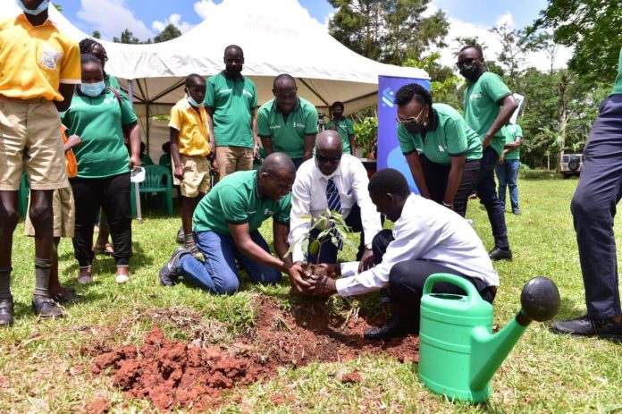 Moses Rutahigwa of Standard Chartered Bank joins the Headmaster of Salaama school for the blind Mr. Francis Kinubi to plant a tree