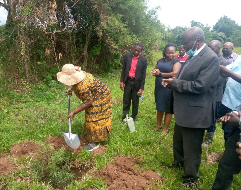 Kyambogo plants trees on the boundaries to safeguard its land