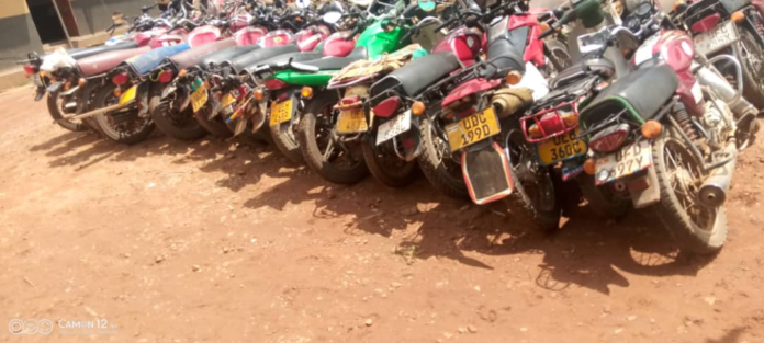 Some of the impounded motorcycles