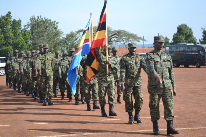 image - 2023-06-13T105558.583