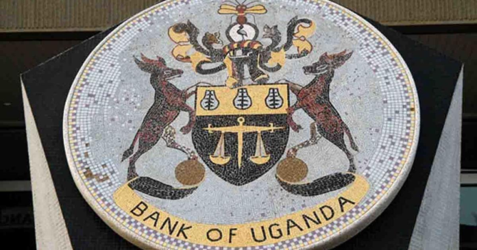 image - 2023-07-06T150420.103