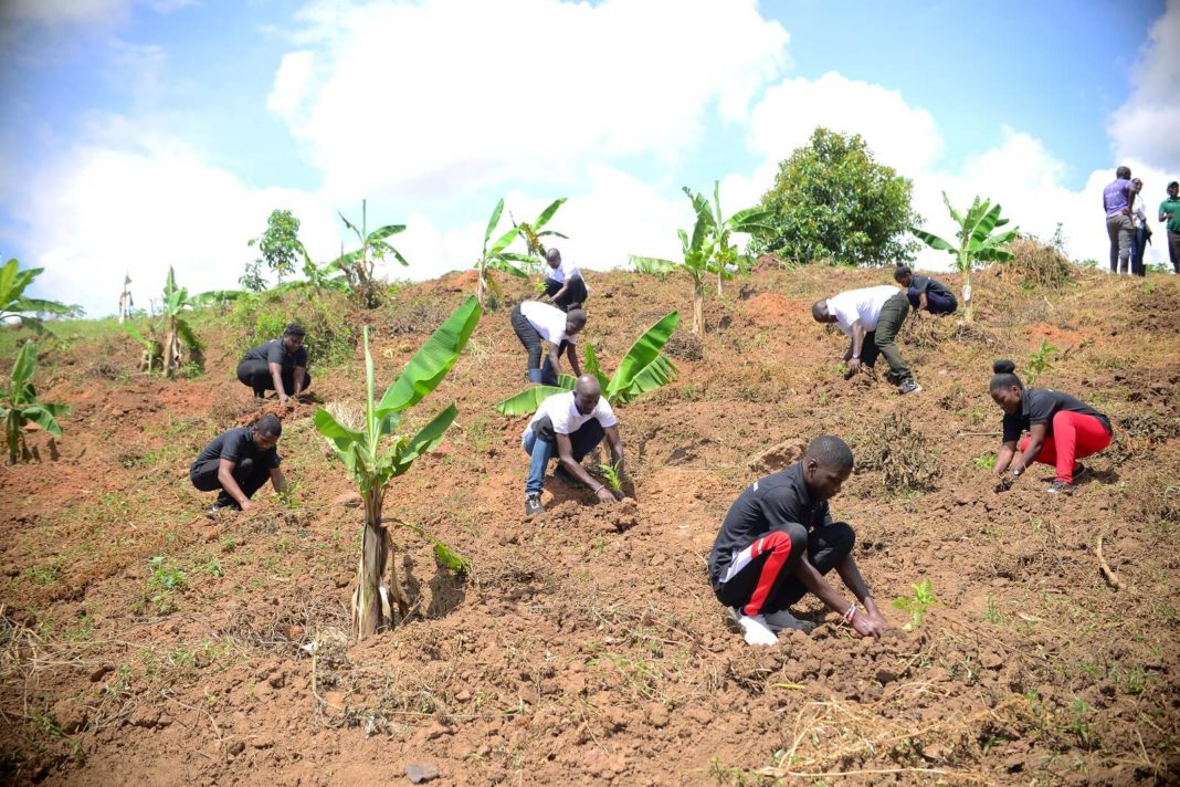 Corporate Companies plant one million trees to commemorate the National