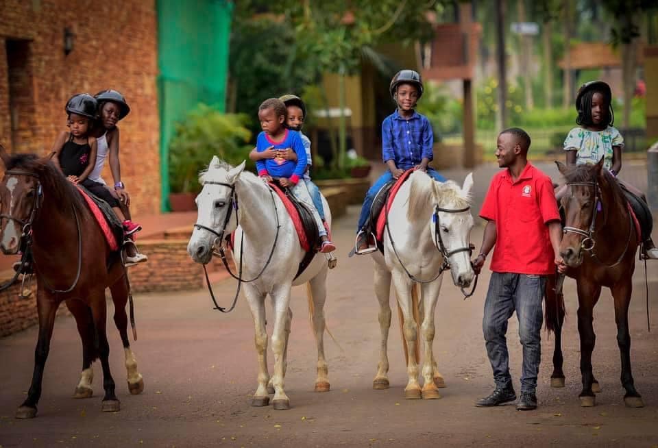 Pony rides