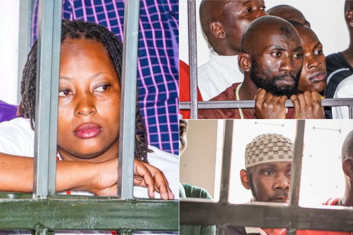 image - 2024-11-22T145451.011