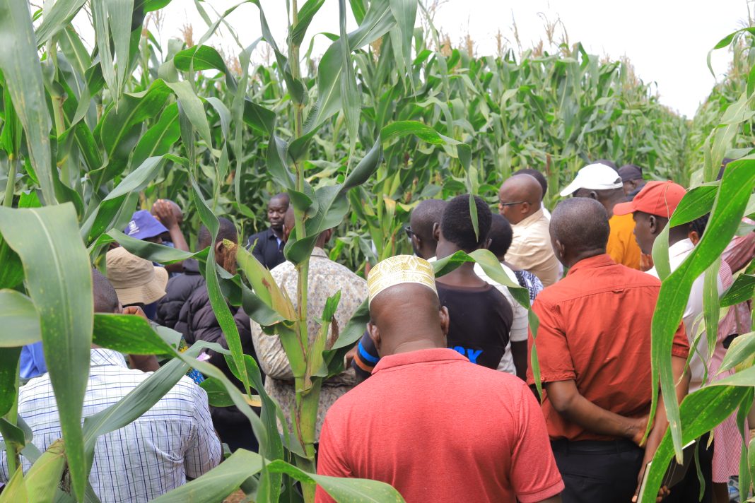 Farming undergoing a trianing at Yara Knowledge Center at Asili Farm