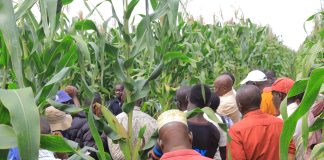 Farming undergoing a trianing at Yara Knowledge Center at Asili Farm