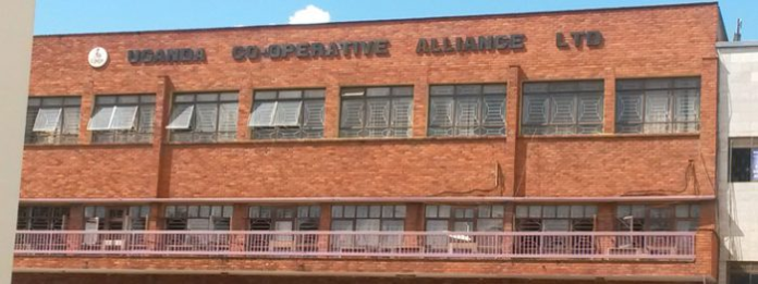 image - 2025-10-30T152101.626