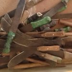 Pangas recovered from the locals