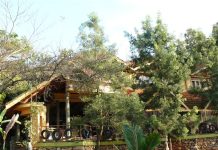 Forest Cottages unveils festive season special room rates